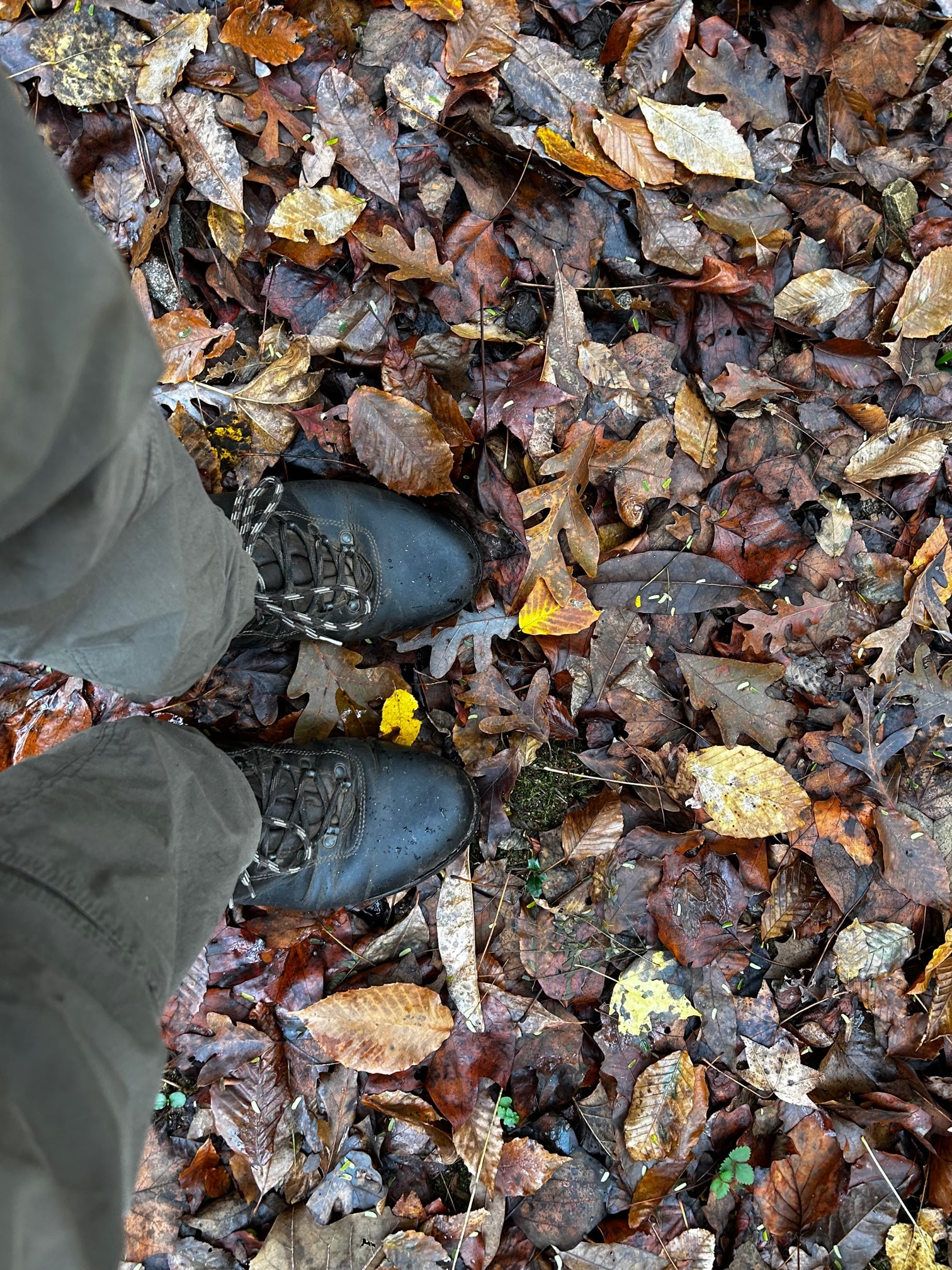 Limmer Lightweight Looking Down at Feet Boots In Leaves Jim From Atlanta